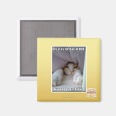 Dis is zo ver weg van bed. magneet (Voorkant / Achterkant)