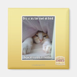 Dis is zo ver weg van bed. magneet