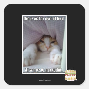 Dis is zo ver weg van bed. vierkante sticker