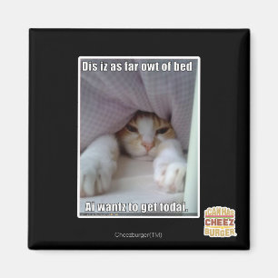 Dis iz tot aan bed... magneet