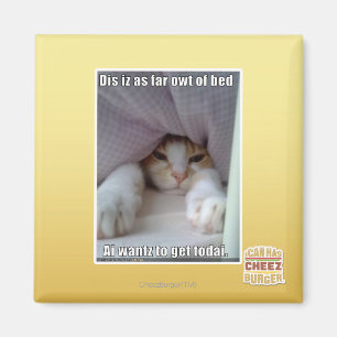 Dis iz tot aan bed... magneet