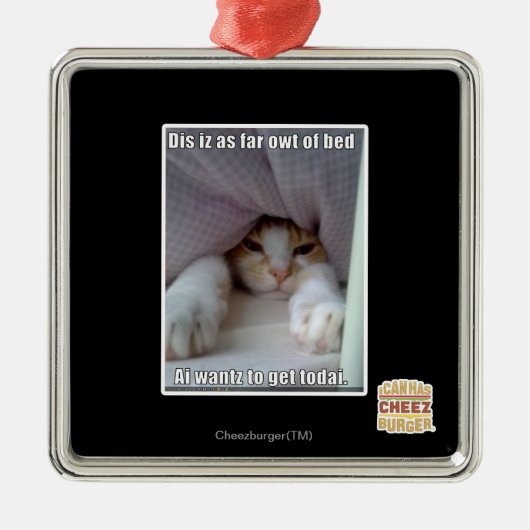 Dis iz tot aan bed... metalen ornament (Voorkant)