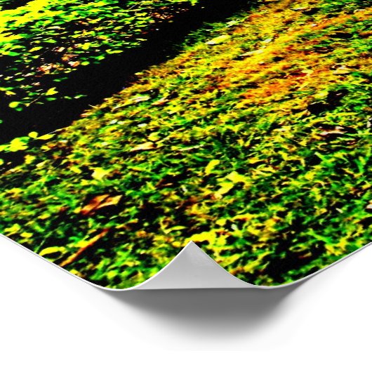 Dis N Data Poster (Hoek)