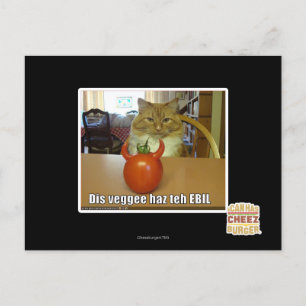 Dis veggee haz de EBIL Briefkaart