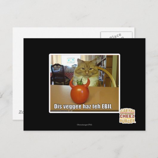 Dis veggee haz de EBIL Briefkaart (Voorkant / Achterkant)