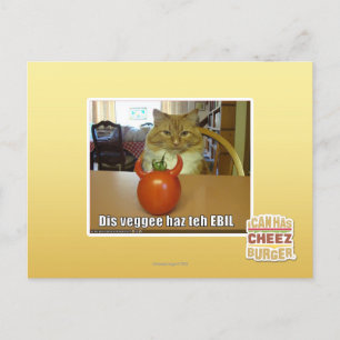 Dis veggee haz de EBIL Briefkaart