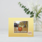 Dis veggee haz de EBIL Briefkaart (Staand voorkant)