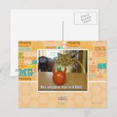 Dis veggee haz de EBIL Briefkaart (Voorkant / Achterkant)