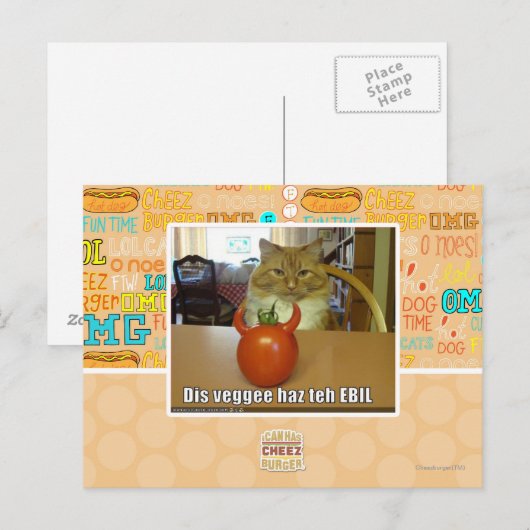 Dis veggee haz de EBIL Briefkaart (Voorkant / Achterkant)