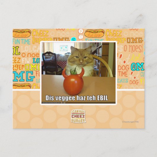 Dis veggee haz de EBIL Briefkaart (Voorkant)