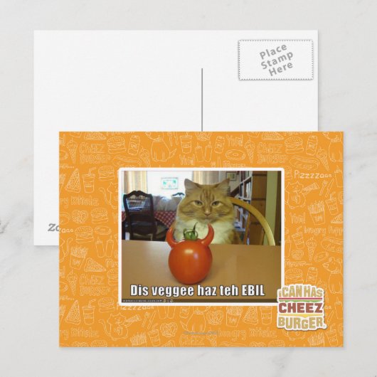 Dis veggee haz de EBIL Briefkaart (Voorkant / Achterkant)