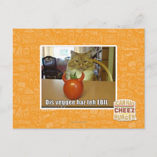 Dis veggee haz de EBIL Briefkaart (Voorkant)