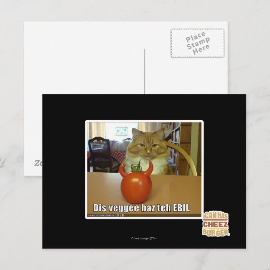 Dis veggee haz de EBIL Briefkaart (Voorkant / Achterkant)