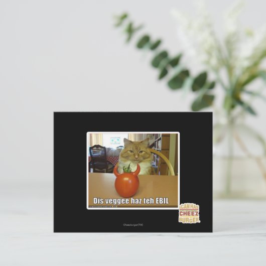 Dis veggee haz de EBIL Briefkaart (Staand voorkant)