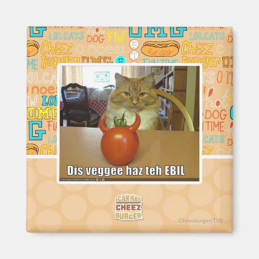 Dis veggee haz de EBIL Magneet (Voorkant)