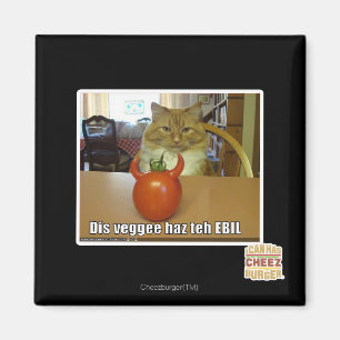 Dis veggee haz de EBIL Magneet