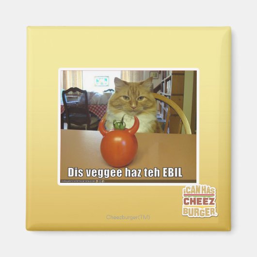 Dis veggee haz de EBIL Magneet (Voorkant)