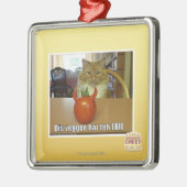 Dis veggee haz de EBIL Metalen Ornament (Links)