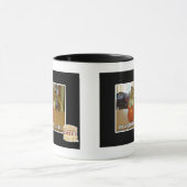 Dis veggee haz de EBIL Mok (Midden)