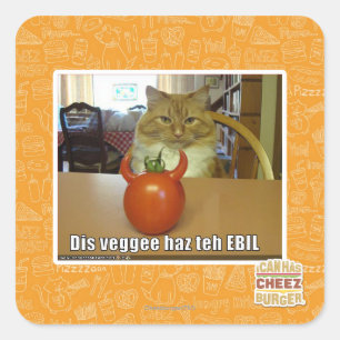 Dis veggee haz de EBIL Vierkante Sticker