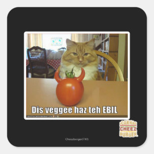 Dis veggee haz de EBIL Vierkante Sticker