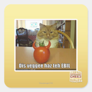 Dis veggee haz de EBIL Vierkante Sticker