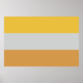Disability Flag Poster