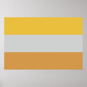 Disability Flag Poster
