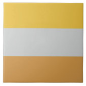 Disability Flag Tegeltje (Voorkant)