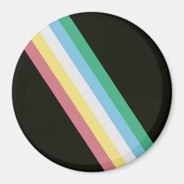 Disability Pride Flag Magneet