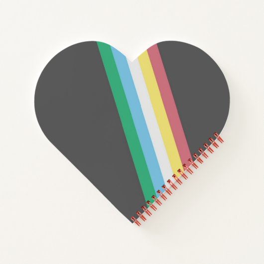 Disability Pride Flag Spiral Notitieboek (Achterkant)