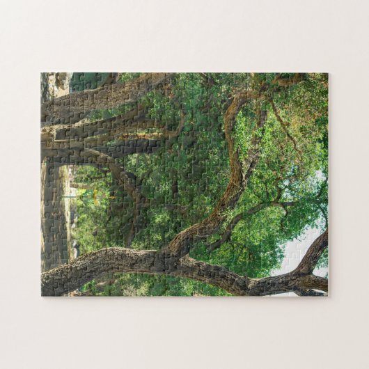Disc Golf Course Natuur Puzzle Legpuzzel (Horizontaal)