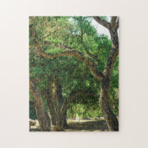 Disc Golf Course Natuur Puzzle