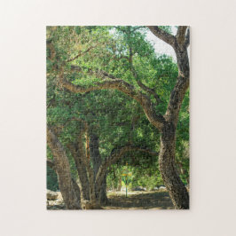 Disc Golf Course Natuur Puzzle Legpuzzel