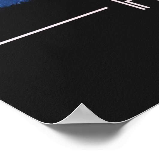 Disc Golf Stars Poster (Hoek)