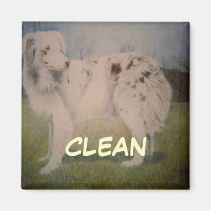 Disc Washer Status Magnet