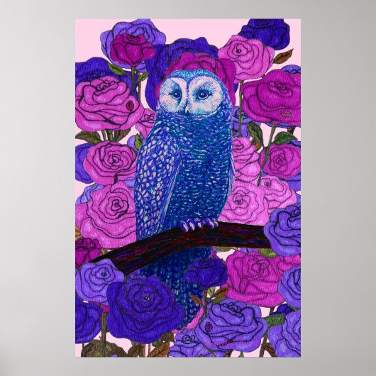 Discerning Owl Poster (Voorkant)