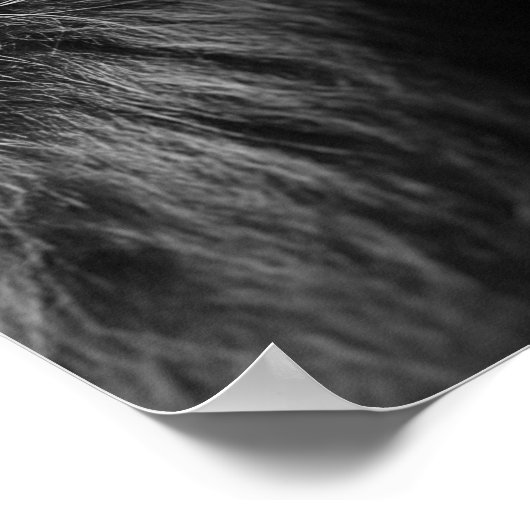 Discipline is vrijheid in het uiterste geval dicht poster (Hoek)