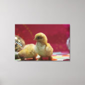 Disco Chicken Canvas Afdruk (Voorkant)