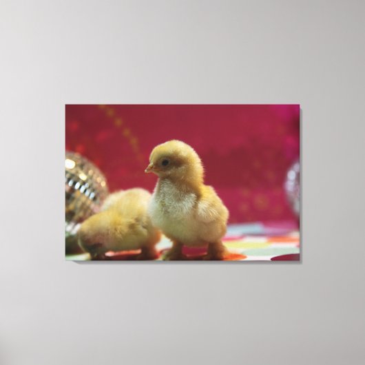 Disco Chicken Canvas Afdruk (Voorkant)