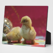 Disco Chicken Fotoplaat (Zijkant)