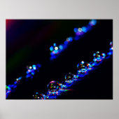 Disco-druppels Poster (Voorkant)