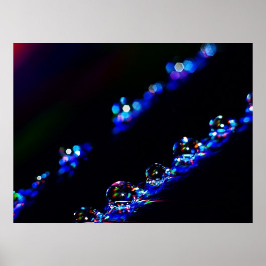 Disco-druppels Poster (Voorkant)