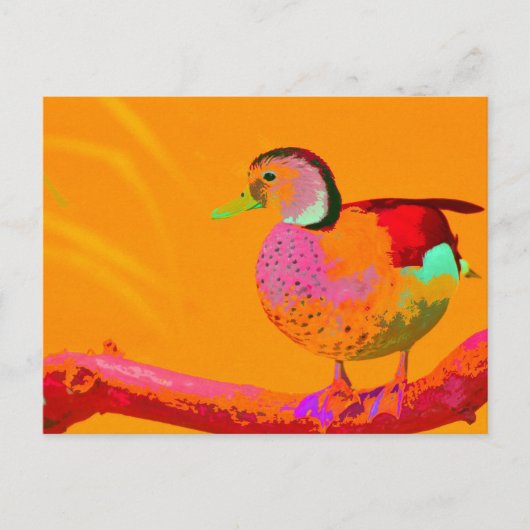 Disco Duck Briefkaart (Voorkant)