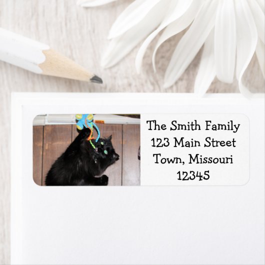 Disco Etiket (Insitu)