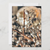 Disco Kerstmis Kaart (Voorkant)