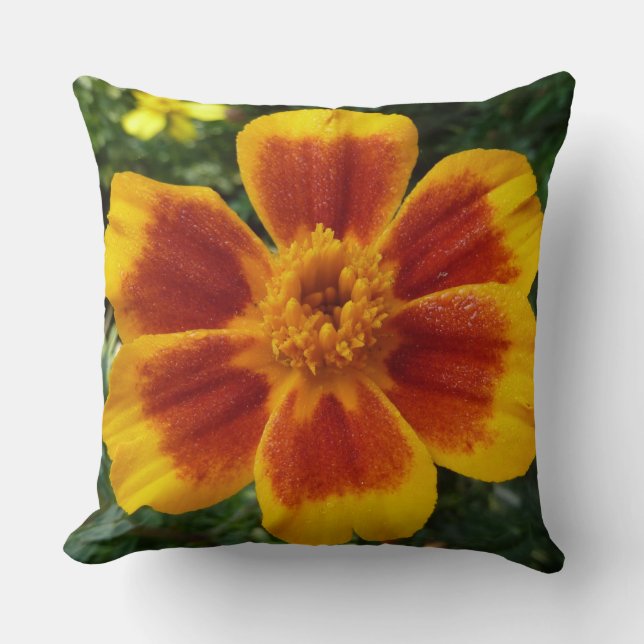 Disco Marigold Oranje en Red Summer Flower Kussen (Voorkant)