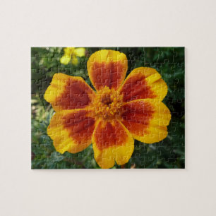 Disco Marigold Oranje en Red Summer Flower Legpuzzel