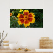 Disco Marigold Oranje en Red Summer Flower Poster (Keuken)