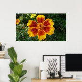 Disco Marigold Oranje en Red Summer Flower Poster (Thuiskantoor)